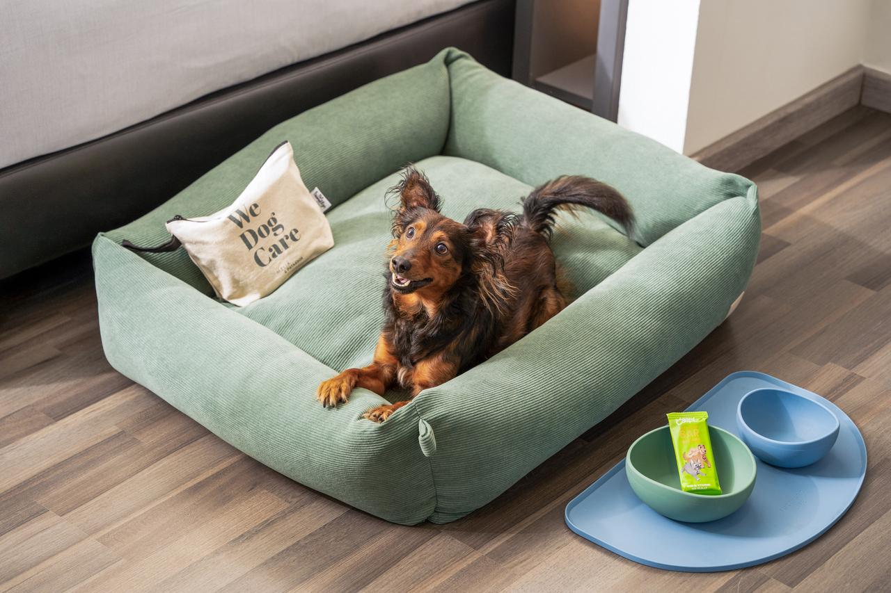 183eInnsideBerlinMitte-Pet Friendly